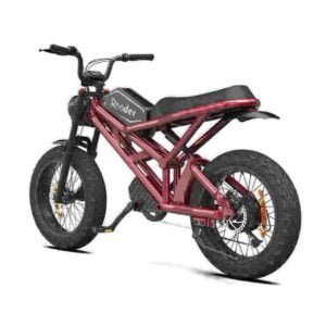 All Terrain E Bike εργοστάσιο χονδρικής