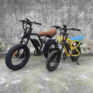 Καλύτερο E Mountain Bike εργοστάσιο χονδρικής