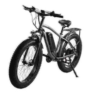 Καλύτερο Fat Tire Ebike εργοστάσιο χονδρικής