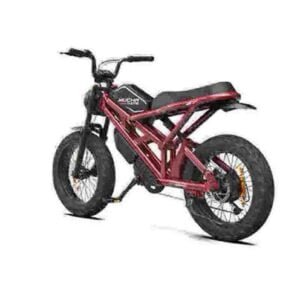 Electric Fat Bike Snow εργοστάσιο χονδρικής